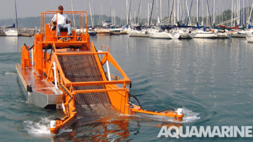 aquatic skimmers