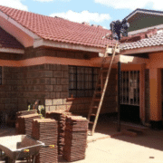 ecotiles and roof